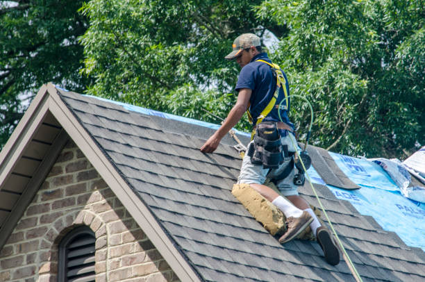 Best Metal Roofing Contractor  in Union, MO